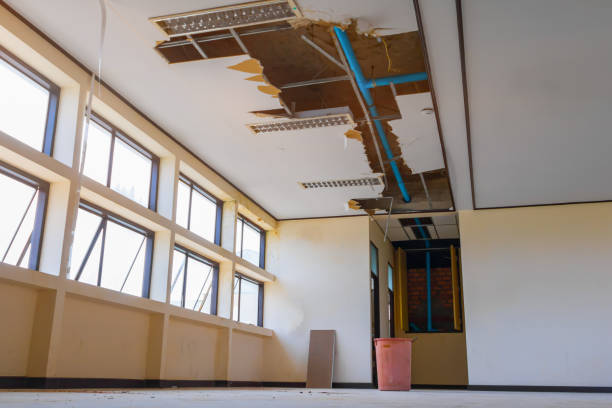 Best Residential water damage restoration  in Elk Mound, WI