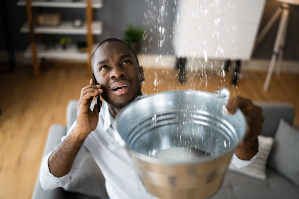 Best Emergency water damage restoration  in Elk Mound, WI