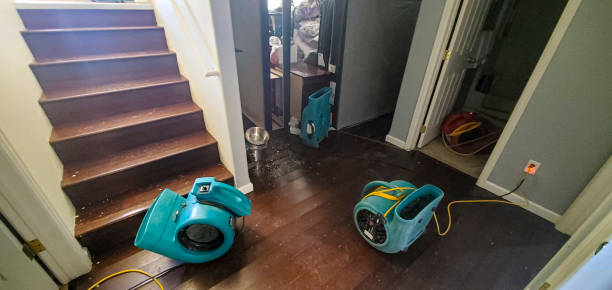Best Fire Damage Restoration  in Elk Mound, WI