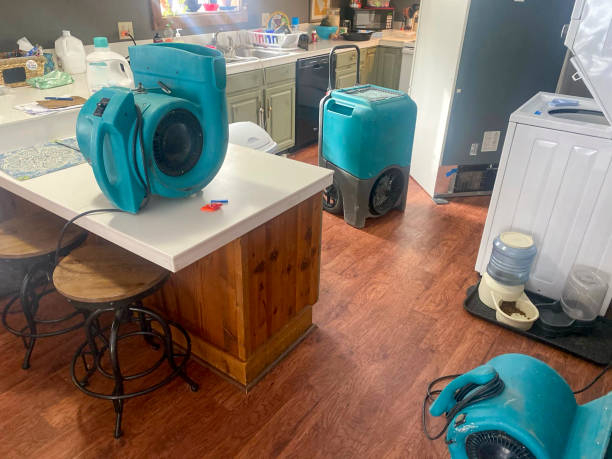 Best Carpet water damage restoration  in Elk Mound, WI