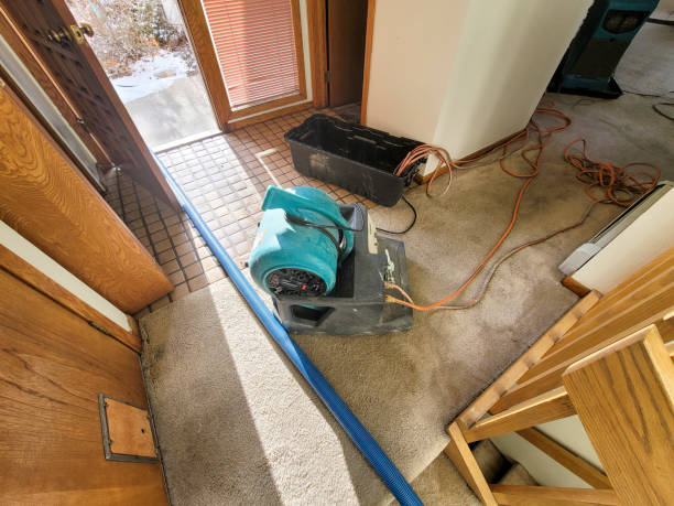 Best Professional water damage repair  in Elk Mound, WI