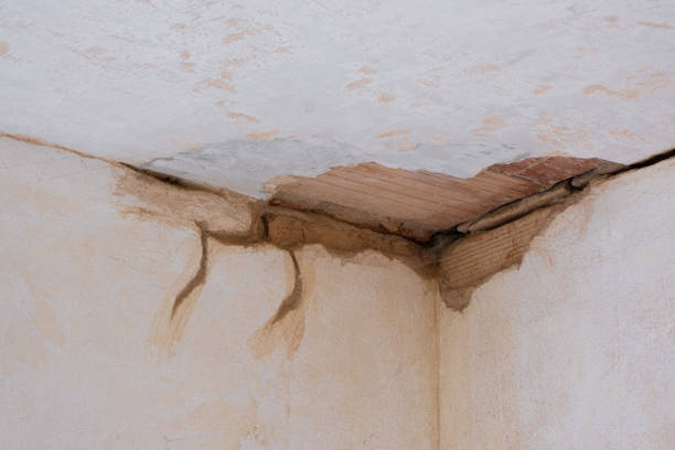 Best Sewage cleanup and water damage restoration  in Elk Mound, WI