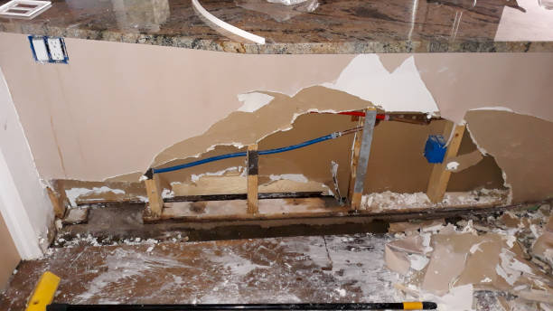 Best Mold removal after water damage  in Elk Mound, WI
