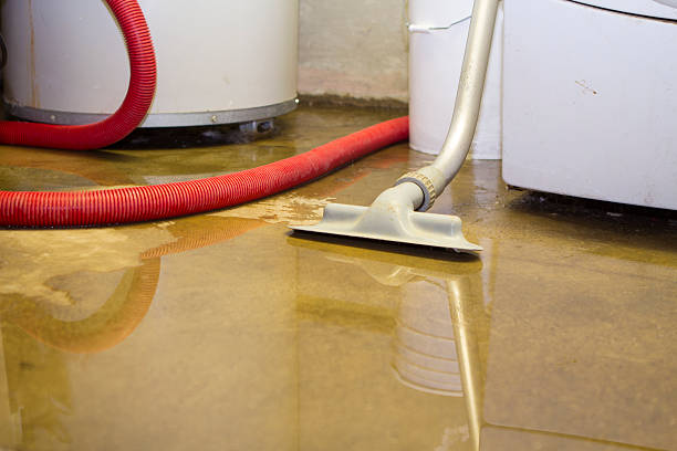 Best Flood damage cleanup  in Elk Mound, WI