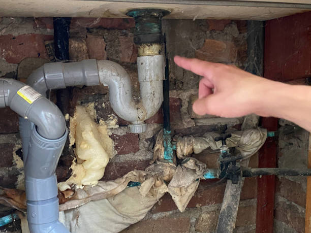 Best Professional water damage repair  in Elk Mound, WI