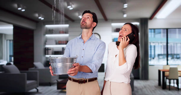 Best Emergency water damage restoration  in Elk Mound, WI