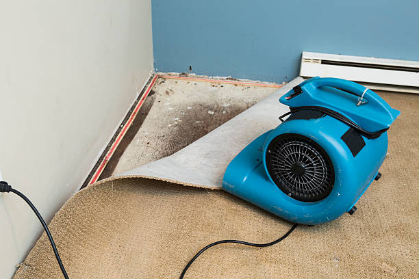 Best 24-hour water damage restoration  in Elk Mound, WI